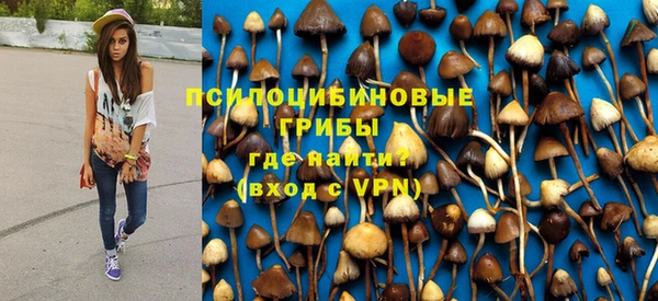 прущий лед Вяземский