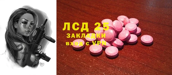 прущий лед Вяземский