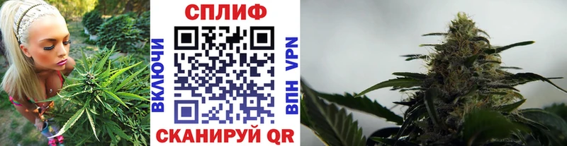 как найти закладки ссылка на мегу онион Бошки марихуана Amnesia Змеиногорск